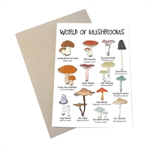 Mouse and Pen - World Of Mushrooms A6